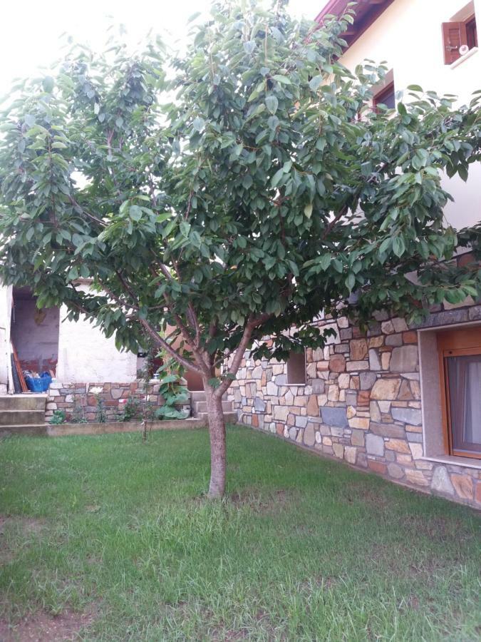 Villa Anna Agios Nikolaos  Exterior foto